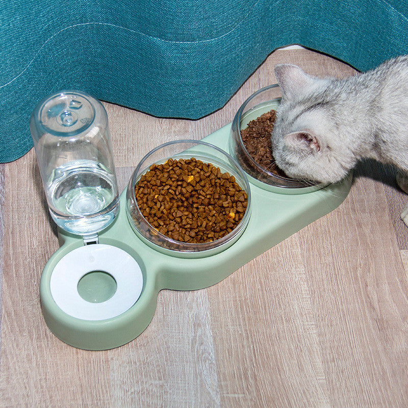 Pet Automatic Double Bowl Feeder