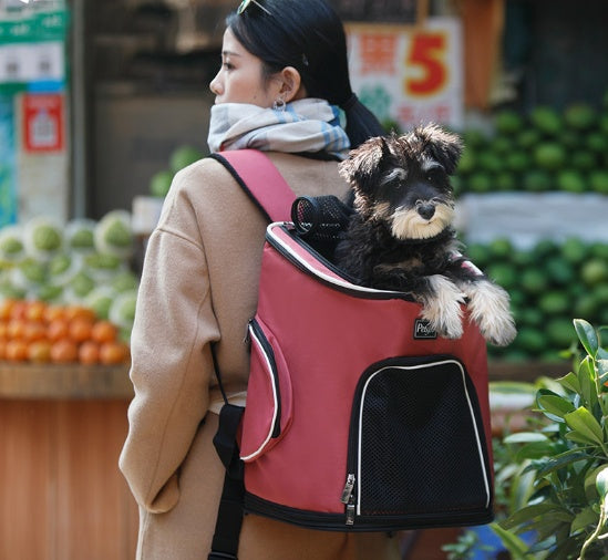 Pet Carrier Backpack