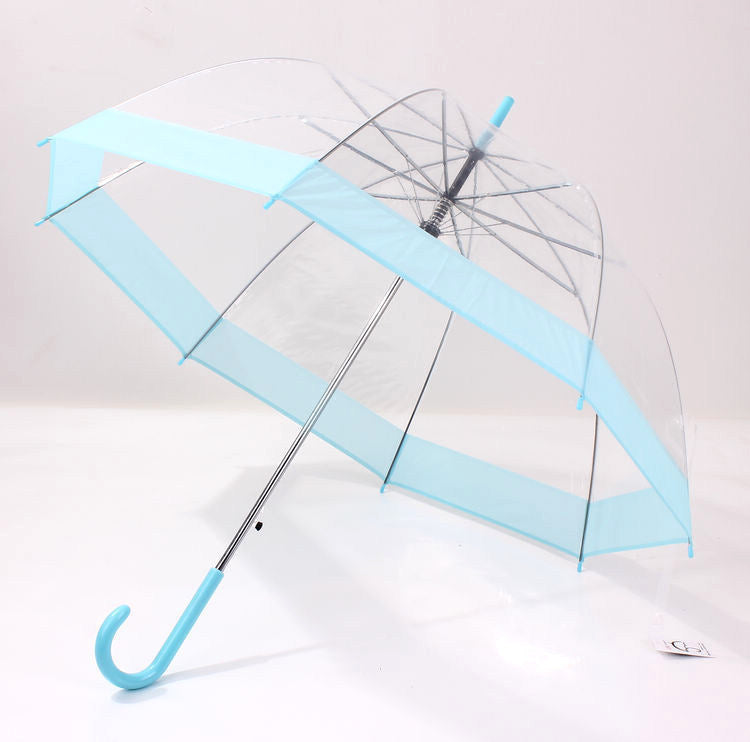 Transparent Umbrella